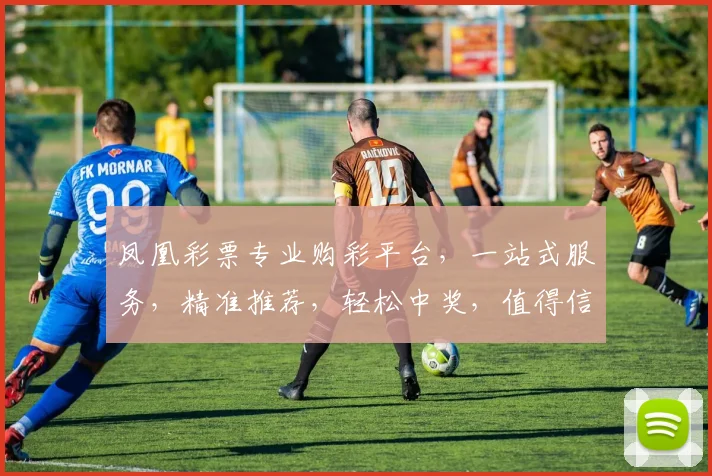凤凰彩票专业购彩平台，一站式服务，精准推荐，轻松中奖，值得信赖，三重保障，体验非凡