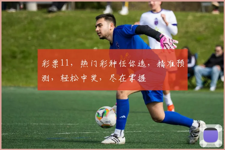 彩票11，热门彩种任你选，精准预测，轻松中奖，尽在掌握