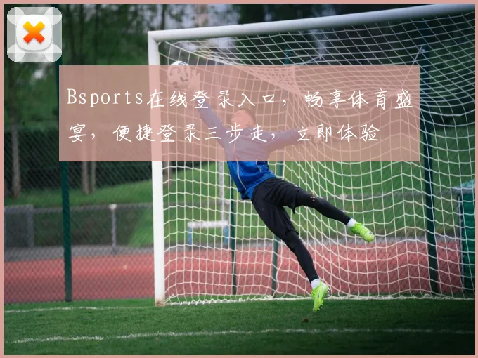 Bsports在线登录入口，畅享体育盛宴，便捷登录三步走，立即体验