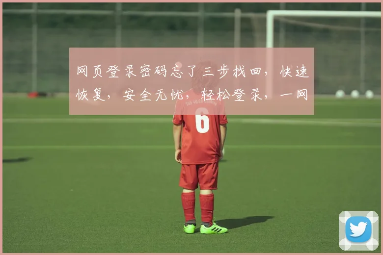 网页登录密码忘了三步找回，快速恢复，安全无忧，轻松登录，一网打尽
