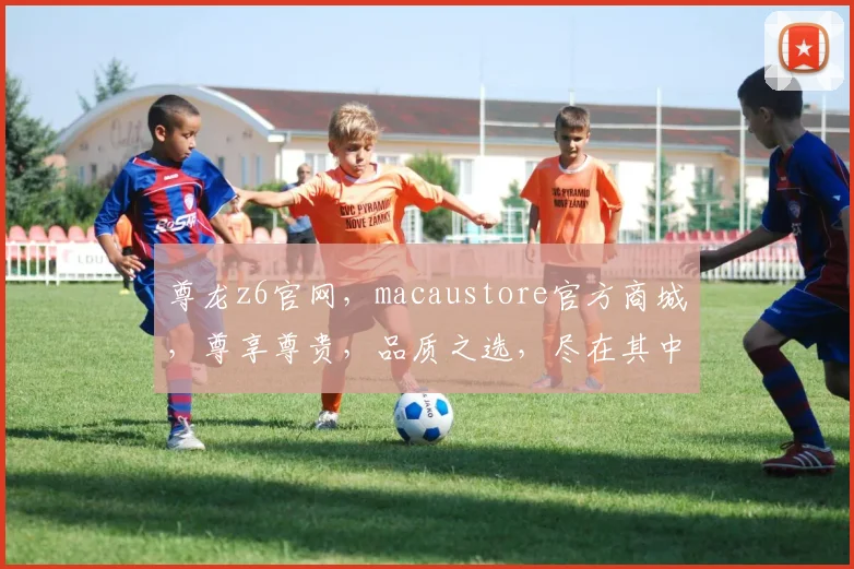 尊龙z6官网，macaustore官方商城，尊享尊贵，品质之选，尽在其中，购物无忧，三重保障