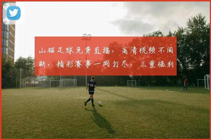 山猫足球免费直播，高清视频不间断，精彩赛事一网打尽，三重福利等你来