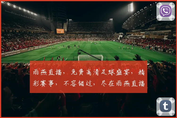 雨燕直播，免费高清足球盛宴，精彩赛事，不容错过，尽在雨燕直播平台，一网打尽